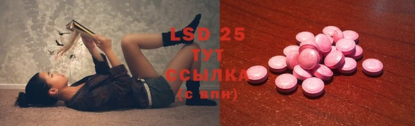 индика Михайловка