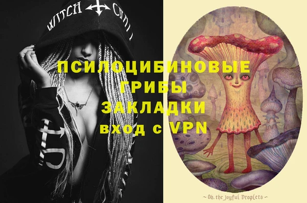 дживик Абинск